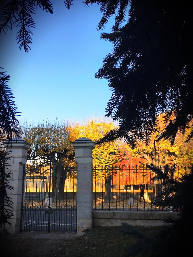 Manoir 1838 A - 3 Km Du Zoo De Beauval & Proche Des Chateaux แซ็ง-เตญ็อง ภายนอก รูปภาพ